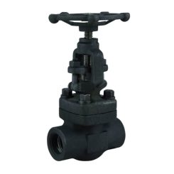 Globe Valve