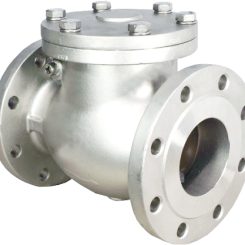 Check Valve