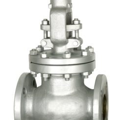 Globe Valve